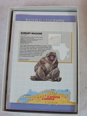 SET OF 2 NATIONAL GEOGRAPHIC CD-ROMs 2 Box Sets 1995/1996