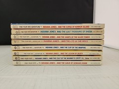 1-7 and 9 Indiana Jones Find Your Fate Adventure books
