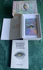 The Wild Unknown Animal Spirit Deck and Guidebook (Official Keepsake Box Set…