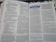 NASB Charles Stanley Life Principles Bible- Large Print INDEXED Burgundy LS-RARE