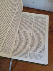 The Holy Bible New American Standard NASB Holman Olive Green Leather Touch 8.5″