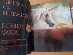 Signed The Unicorn of Kilimanjaro by Robert Vavra 1988 1st Edition Hardcover