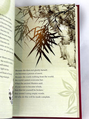 TAO TE CHING by Lao Tzu Deluxe Silkbound Collectible Illustrated Hardcover NEW