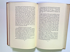 Prayers of Kierkegaard Perry D. LeFevre 1956 HC University of Chicago Vintage