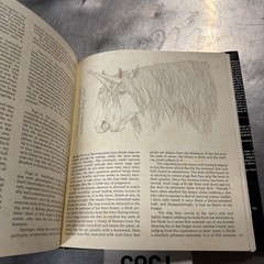 Unicorns I Have Known by Robert Vavra Hardcover