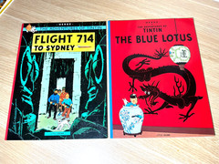 The Adventures of Tintin Complete Collection 24-Book Set English Ed. Paperback