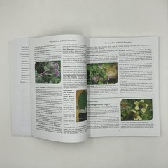 THE LOST BOOK OF HERBAL REMEDIES NICOLE APELIAN CLAUDE DAVIS 2021 PAPERBACK