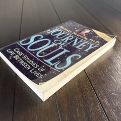 Journey of Souls: Case Studies of Life Between Lives (Michael Newton’s Journ…
