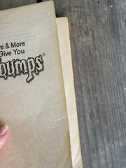 Special Edition #6 More & More Tales to Give You Goosebumps Vintage Book Horror