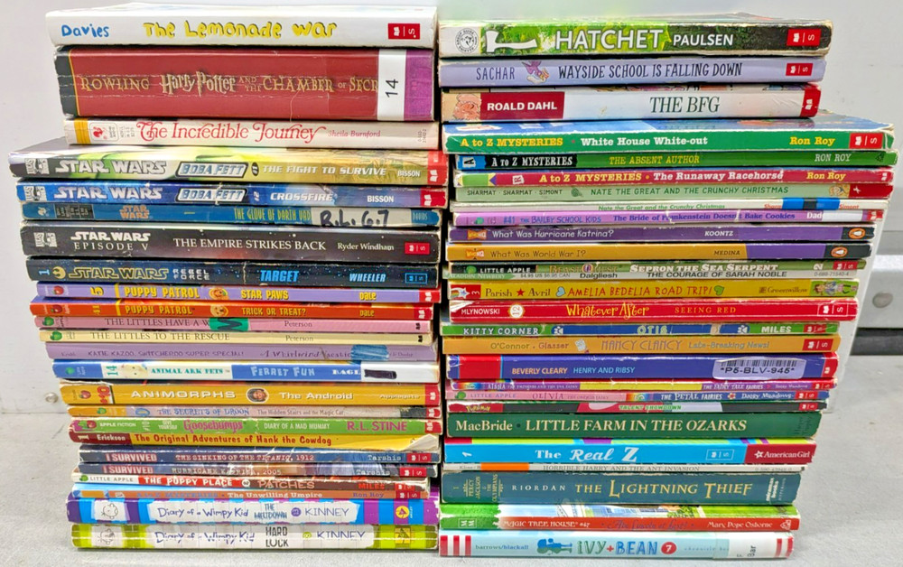 Huge Lot of 50 Chapter Books Bulk Wholesale Paperback Boys Girls Free Shipping