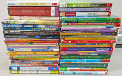 Huge Lot of 50 Chapter Books Bulk Wholesale Paperback Boys Girls Free Shipping