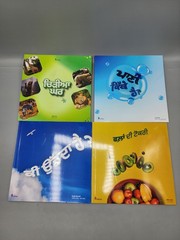 Punjabi Rang Childrens Educational Kids Books Lot of 8