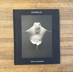 Animalia Henry Horenstein Signed Art Photography 2008 HC First Edition Italy
