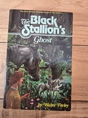 Lot of 5 The Black Stallion Paperbacks 1980s Walter Farley Very Good