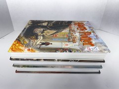 Harry Potter Hardcover/illusrated by Jim Kay books ( year 1,2,4) W/ Dust Covers