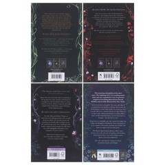 The Kingkiller Chronicle by Patrick Rothfuss 4 Books Collection Set -Fiction- PB