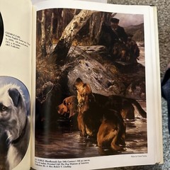 The Akc’s World Of The Purebred Dog Hardcover 1983. 344 Pages