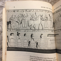 Before The Mayflower Lerone Bennett Jr. 1969 Penguin Books African Civilizations