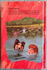 Lassie Trouble At Painter’s Lake By Steve Frazee 1972 Hardcover 210 Pages