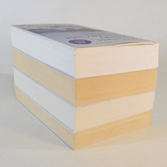 Neapolitan Novels 4 Books Set – Elena Ferrante – My Brilliant Friend -Lot Series