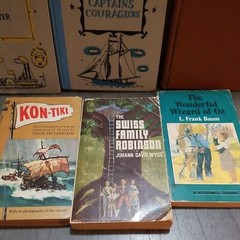 Lot of 12 Mixed Random Children’s Books and Young Adult Novels, Classic Stories
