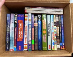 Lot of 28 Grade 3-6 Chapter Books Novels 14lbs / 39 Clues, ECHO , School of Fear