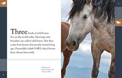 Amazing Animals Wild Horses – GOOD