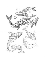 Best Save the Whales Coloring Save the Planet Series 108 Pages 8.5 x 11 All Ages