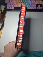 The Intruder – Hardcover, by McFadden Freida