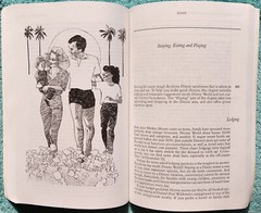 Disney World And Beyond The Ultimate Family Guidebook 1992 Paperback 270 Pages