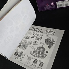 Lot Of 2 Strawberry Shortcake Books From 2010’s