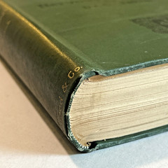Atlas of Normal and Pathological Nervous Systems ~ 1896 ~ C. Jakob ~ Color Illus