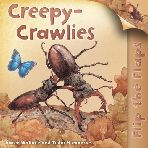 Flip The Flaps: Creepy-Crawlies by