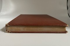 RARE Antique DeLoup American Salad Book 4th Edition Revised, pub. Doubleday 1919