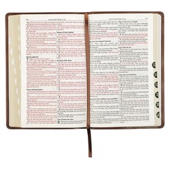Holy Bible, Standard Size Faux Leather Red Letter Edition Thumb Index & Ribbon..