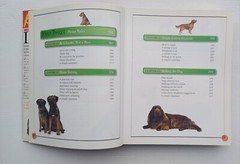 Used Book KISS Guide To Living With A Dog 2001 Paperback 415 Pages Very Good DK