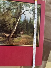 Finnish Photo Art–Hard Cover–108 Pages Written In Finnish 1964 13x 10