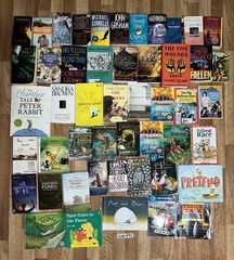 Books KIDS STORIES FUN READS ADULT BOOKS CARS
