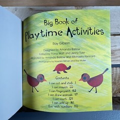 The Usborne Big Book of Playtime Activities by Ray Gibson (2003 Paperback)