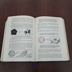 HOLY BIBLE PROPHECY EDITION CROWN JEWEL SALEM KIRBAN KJV REVELATION STUDY CHARTS