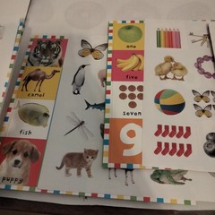 First 100 PB Box Set (5 Books) : First 100 Words; First 100 Animals; First…