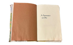 A Summer to Die by Lois Lowry 1977, Hardcover Vintage