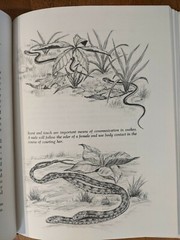 Reptiles and How They Reproduce HCDJ Dorothy Hinshaw Patent First Edition 1977