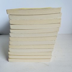 Lot of 13 Tuck Everlasting Natalie Babbitt Square Fish Classroom Guided Reading