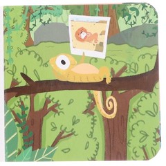 A Case of Wild Animals 12 Board Books Set – Ages 3+ – By Sweet Cherry Publishing