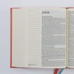 Net Bible, Journal Edition, Cloth Over Board, Coral, Comfort Print: Holy…