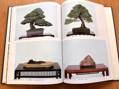 Nihon Bonsai Taikan Ten 17, 18th Set Exhibition Japanese Art Photobook used JPN