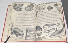 DINOSAURS True First Edition 1954 by Herbert S Zim Hardcover RARE School Library