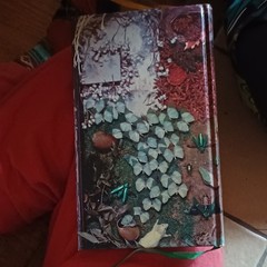 Pantheon Books Only Revolutions by Mark Z. Danielewski 2006 1st Ed Hardcover DJ