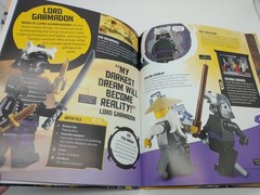 Lot of 3 LEGO Ninjago and Star Wars Children’s Books Disney DK